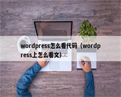 wordpress怎么看代码（wordpress上怎么看文）