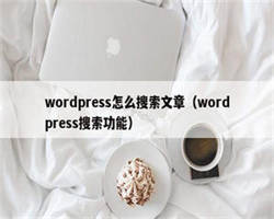 wordpress怎么搜索文章（wordpress搜索功能）