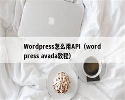 Wordpress怎么用API（wordpress avada教程）