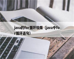 java的for循环极限（java中for循环语句）