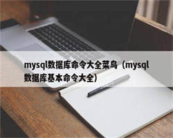 mysql数据库命令大全菜鸟（mysql数据库基本命令大全）