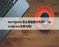 wordpress怎么添加统计代码？（wordpress文章代码）