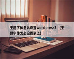 主题字体怎么设置wordpress？（主题字体怎么设置到上）