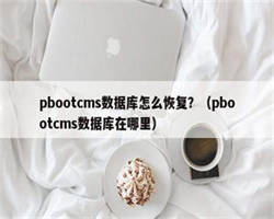 pbootcms数据库怎么恢复？（pbootcms数据库在哪里）