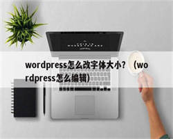 wordpress怎么改字体大小？（wordpress怎么编辑）