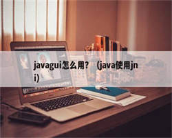 javagui怎么用？（java使用jni）