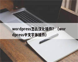 wordpress怎么汉化插件？（wordpress中文字体插件）