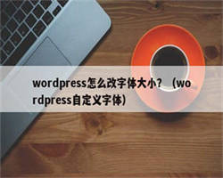 wordpress怎么改字体大小？（wordpress自定义字体）