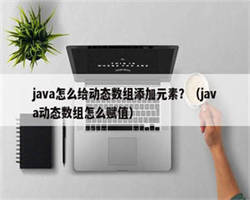 java怎么给动态数组添加元素？（java动态数组怎么赋值）