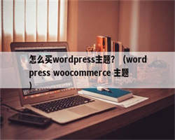 怎么买wordpress主题？（wordpress woocommerce 主题）