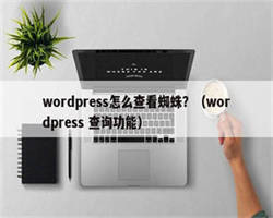 wordpress怎么查看蜘蛛？（wordpress 查询功能）