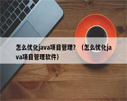 怎么优化java项目管理？（怎么优化java项目管理软件）