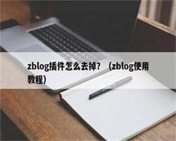 zblog插件怎么去掉？（zblog使用教程）