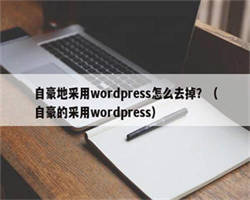 自豪地采用wordpress怎么去掉？（自豪的采用wordpress）