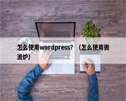 怎么使用wordpress？（怎么使用微波炉）