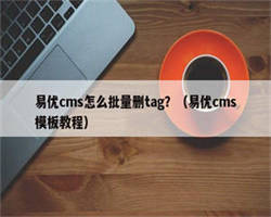 易优cms怎么批量删tag？（易优cms模板教程）