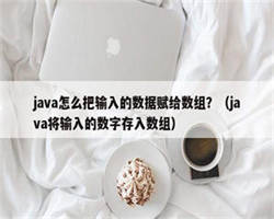 java怎么把输入的数据赋给数组？（java将输入的数字存入数组）