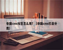 帝国cms标签怎么用？（帝国cms栏目分类）