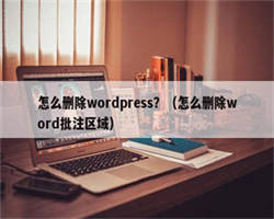 怎么删除wordpress？（怎么删除word批注区域）