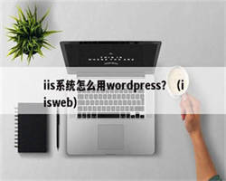 iis系统怎么用wordpress？（iisweb）