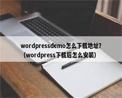 wordpressdemo怎么下载地址？（wordpress下载后怎么安装）