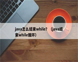 java怎么结束while？（java结束while循环）