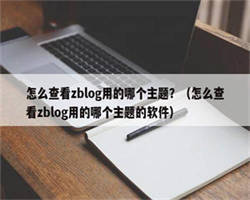 怎么查看zblog用的哪个主题？（怎么查看zblog用的哪个主题的软件）