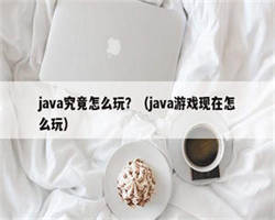 java究竟怎么玩？（java游戏现在怎么玩）