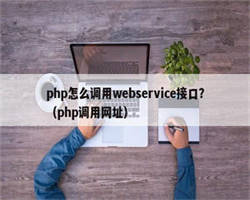 php怎么调用webservice接口？（php调用网址）