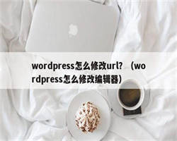 wordpress怎么修改url？（wordpress怎么修改编辑器）