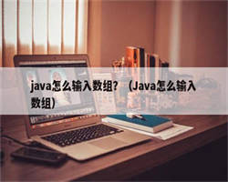 java怎么输入数组？（Java怎么输入数组）