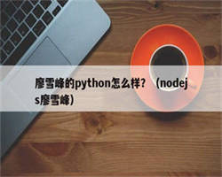 廖雪峰的python怎么样？（nodejs廖雪峰）