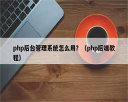 php后台管理系统怎么用？（php后端教程）