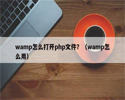 wamp怎么打开php文件？（wamp怎么用）