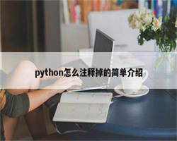 python怎么注释掉的简单介绍