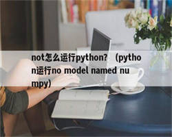 not怎么运行python？（python运行no model named numpy）