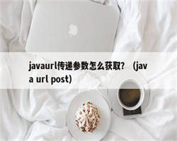 javaurl传递参数怎么获取？（java url post）