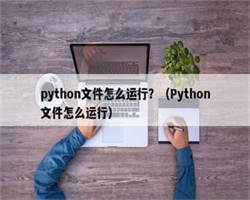 python文件怎么运行？（Python文件怎么运行）