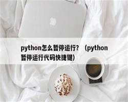 python怎么暂停运行？（python暂停运行代码快捷键）