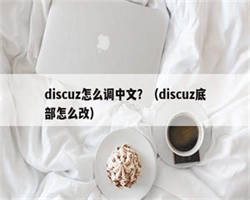 discuz怎么调中文？（discuz底部怎么改）